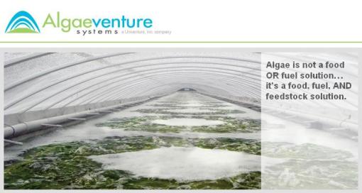 Algae Venture Systems